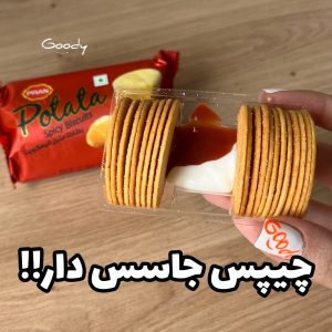 چیپس جا سس دار