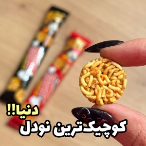کوچیک‌ترین نودل دنیا